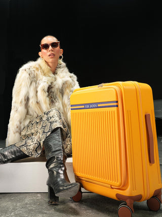The Aviator Luggage