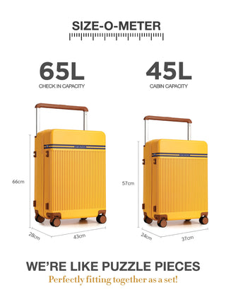 The Aviator - Sunflare (Set Of 2)