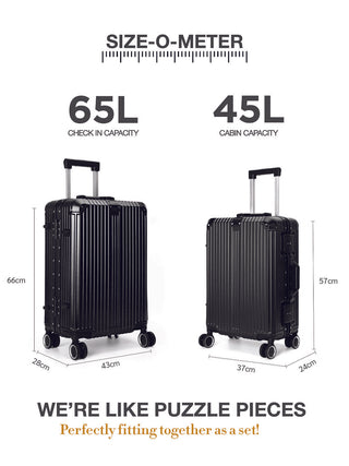 द वोयेजर - स्टाररी सिल्वर