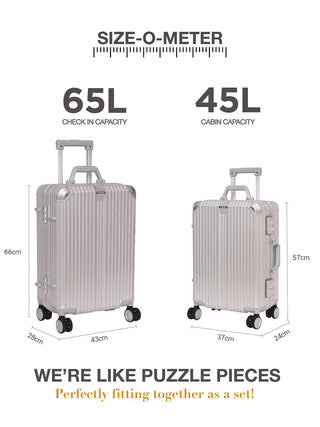 द वोयेजर - स्टाररी सिल्वर