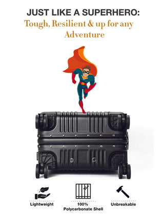 द वोयेजर - स्टाररी सिल्वर