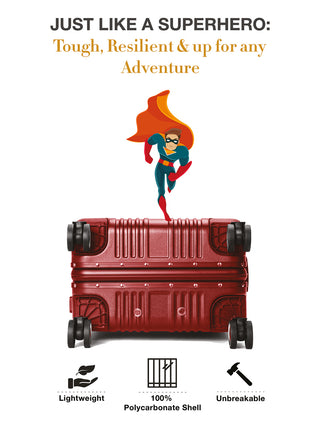 द वोयेजर - स्टाररी सिल्वर