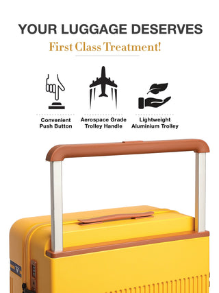 The Aviator - Sunflare (Set Of 2)