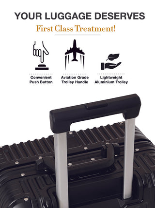 द वोयेजर - स्टाररी सिल्वर