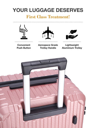 The Carbon Trunk - Desert Rose (Set Of 2)