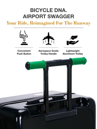 The Puffer Pop - Electric Fern