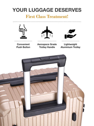 The Caron Trunk - Gold Dust (Set Of 3)