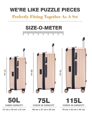 The Caron Trunk - Gold Dust (Set Of 3)