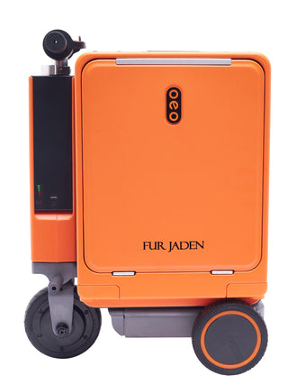 The Zippiee Scooty Luggage