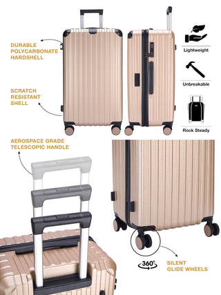 The Carbon Trunk - Gold Dust