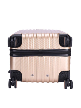 The Carbon Trunk - Gold Dust (Set Of 2)