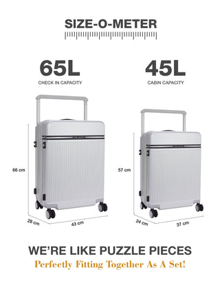 The Aviator - Starry Silver