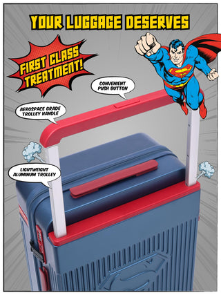 The Aviator - SUPERMAN x Fur Jaden (Set Of 2)