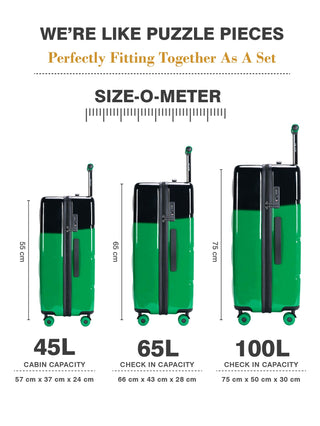 The Puffer Pop - Electric Fern (Set Of 3)