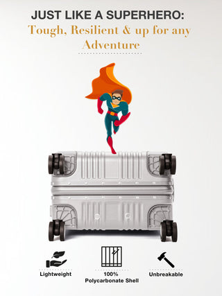 द वोयेजर - स्टाररी सिल्वर